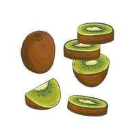 Kiwifruit sketch vector illustration