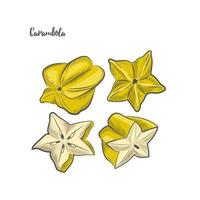 Carambola fruit sketch vector illustration.