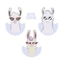 conjunto de dibujos animados de lama glama para su diseño. vector