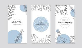 Leaflets with healing herb plants vector. vector