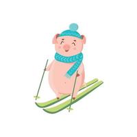 Piglet in hat and scarf skiing isolated on white background. vector