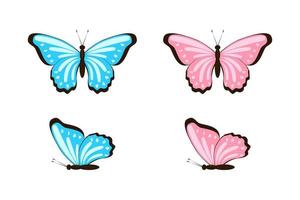 Blue and pink butterflies top and side view flat set vector