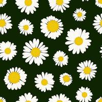 onDaisies on a dark green background seamless pattern. Floral print with white flowers. vector