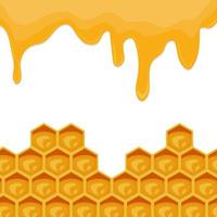 Beekeeping background with flowing honey and honeycomb vector