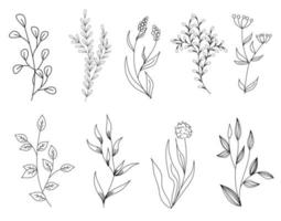 Set of line art floral elements vector