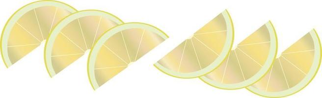 Lemon slices illustration vector