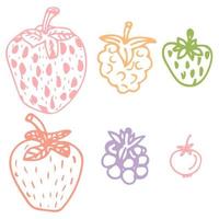 Cute hand drawn berry set. Sketch of strawberry, raspberries, foxberry, blackberry on isolated on white background. vector