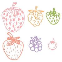 Cute hand drawn berry set. Sketch of strawberry, raspberries, foxberry, blackberry on isolated on white background. vector