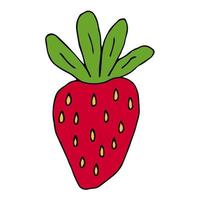 Cartoon doodle strawberry isolated on white background. Hand drawn summer fruit icon. Berry. vector