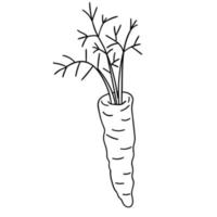 caricatura, garabato, lineal, zanahoria, con, hojas, aislado, blanco, fondo. vector