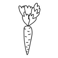 Cartoon doodle linear carrot with leaves isolated on white background. vector