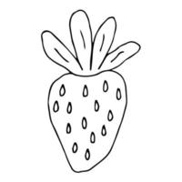 Cartoon doodle strawberry isolated on white background. Hand drawn summer fruit icon. Berry. vector