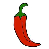 Cartoon doodle linear red chilly pepper  isolated on white background. vector
