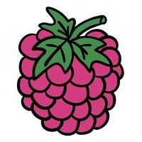 Cartoon doodle linear raspberry isolated on white background. vector