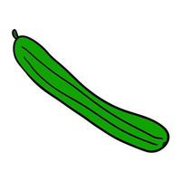 Cartoon doodle linear cucumber isolated on white background. vector