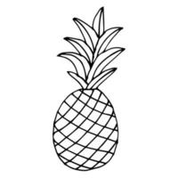 piña aislado sobre fondo blanco. piña de dibujos animados. vector