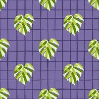 Monstera leaves tropical seamless pattern. Palm leaf endless wallpaper. vector