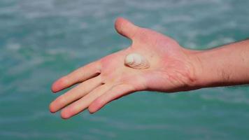 Man holding in his hand a sea shell. video