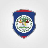 Belize Flag with Design vector