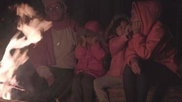 família aquece perto da fogueira na floresta e conversando. noite acampando perto da fogueira na floresta de pinheiros. conceitos de turismo e camping. video