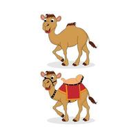 cute camel cartoon illustration vector