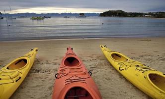 Golden Sand Beach New Zealand photo