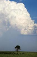 Storm Clouds Canada photo