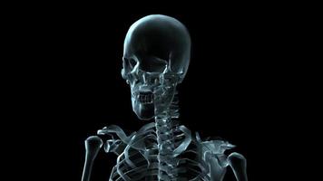 Medizinische 3D-Animation eines sich drehenden menschlichen Skeletts. video