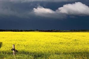 Prairie Storm Clouds photo