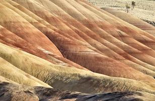 Painted Hills Oregon photo