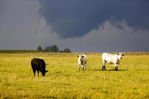 Storm Clouds Canada photo