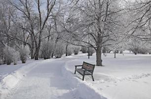 Hoar Frost Prairie photo