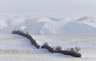 Winter Scene Saskatchewan Badlands photo