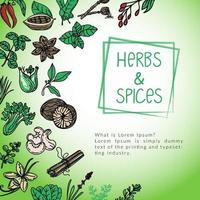 Herb and spice package design template, drawn element in style. Herbs mint, thyme, spinach, rosemary, basil, etc. Logo in a trendy linear style. vector