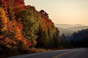 Autumn Colors and road photo