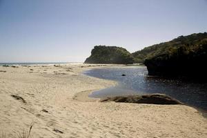 Ocean View New Zealand photo