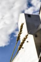 Grain Elevator Saskatchewan photo