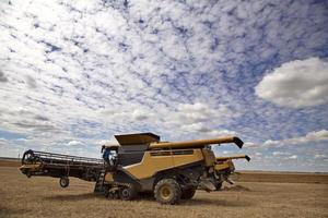 Harvest saskatchewan Canada photo