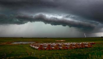 pradera tormenta nubes relámpago foto