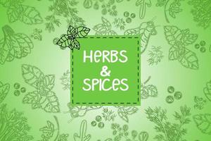 Herbs and spices, hand-drawn vector illustrations. Hand-drawn food sketch. Culinary. Aromatic plants. Card design. Sketch style. Silhouette design of spices and herbs. In a trendy green color.