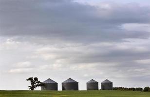 escena de la pradera saskatchewan foto