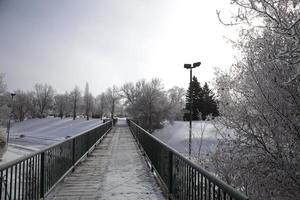 Hoar Frost Prairie photo