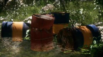 Rusty barrels in green forest video