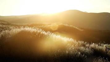 Sunset over the Valley Fields video