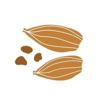 Cardamom icon. Botanical hand drawn icon for labels and packages in simple style vector