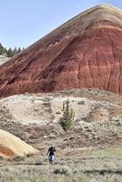 Painted Hills Oregon photo