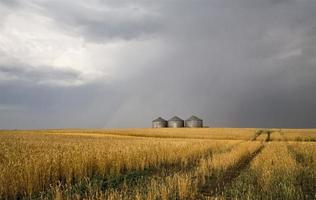 Storm Clouds Canada photo