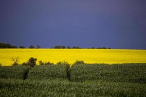 Prairie Storm Clouds photo