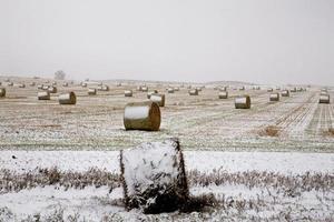 Hay Bales in winter photo