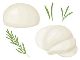 Mozzarella soft cheese block set. Farm market product for label, poster, icon, packaging. vector